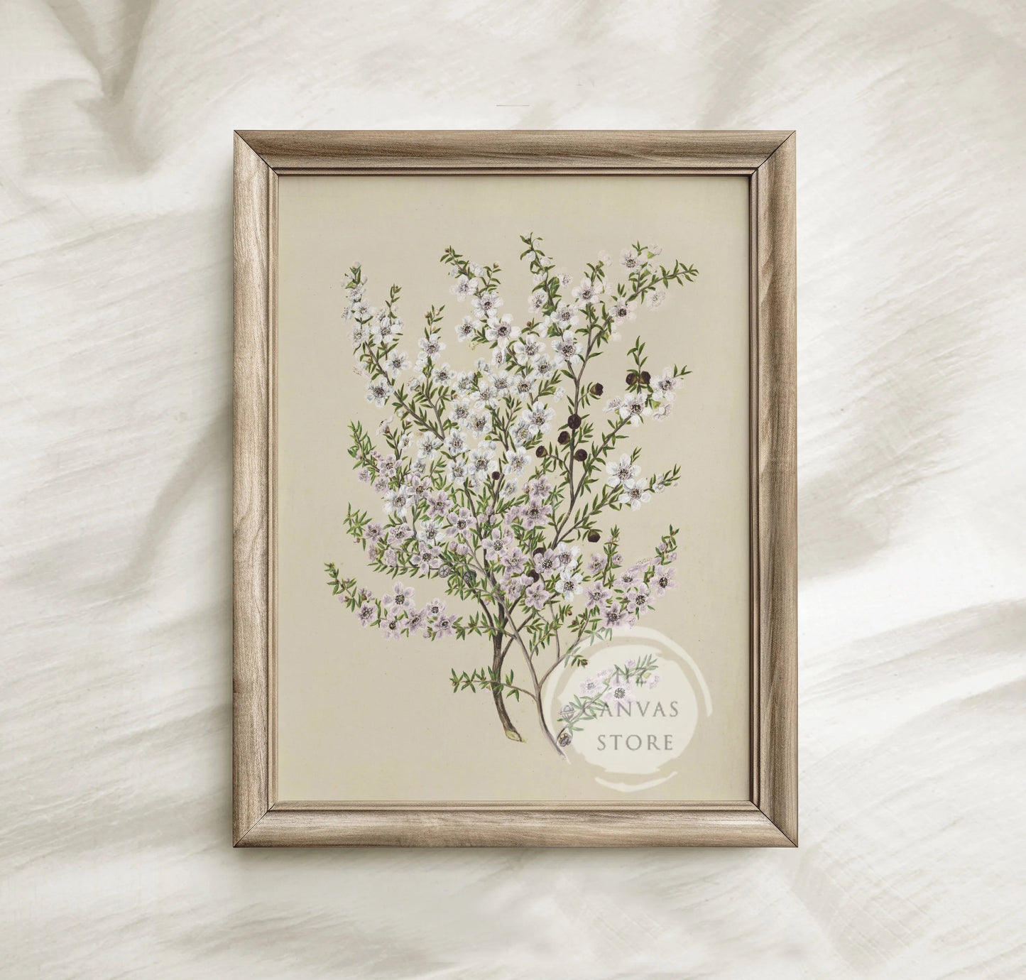 6-Piece Neutral Botanical Wall Art Set – Vintage Floral Prints