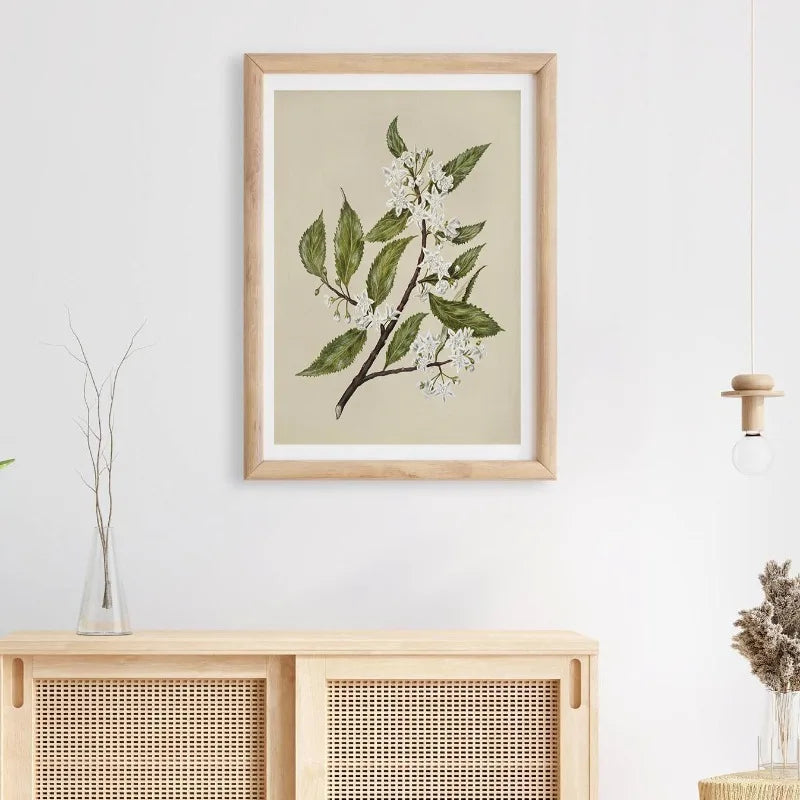6-Piece Neutral Botanical Wall Art Set – Vintage Floral Prints