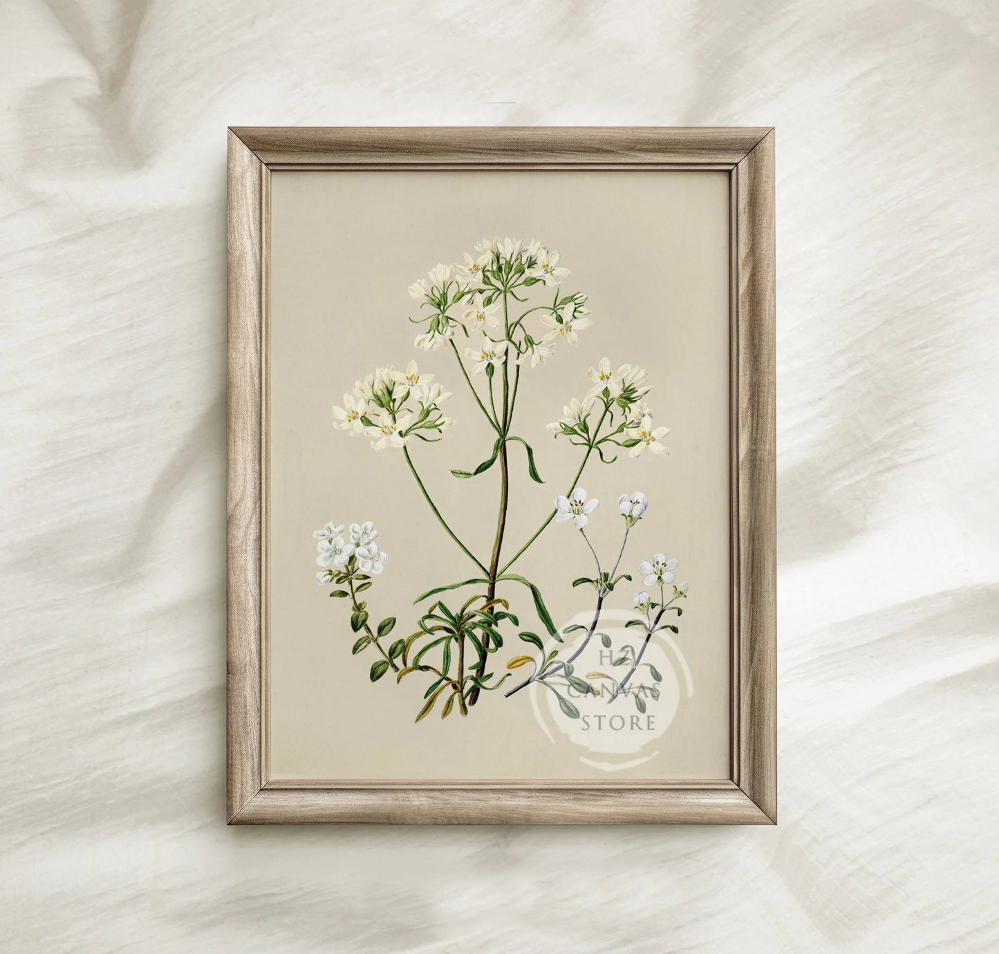 6-Piece Neutral Botanical Wall Art Set – Vintage Floral Prints