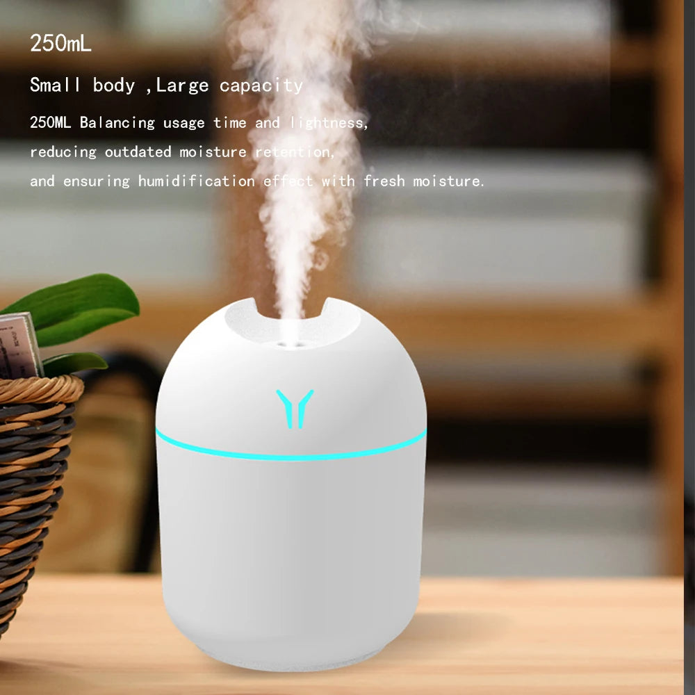 250ml Portable USB Aroma Diffuser & Mini Humidifier