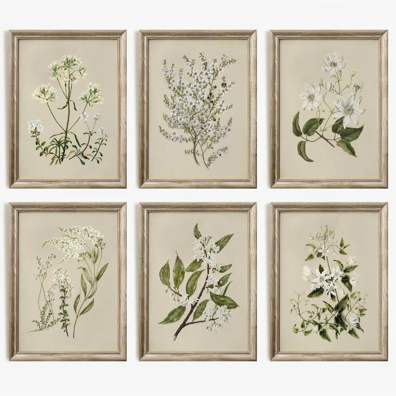 6-Piece Neutral Botanical Wall Art Set – Vintage Floral Prints
